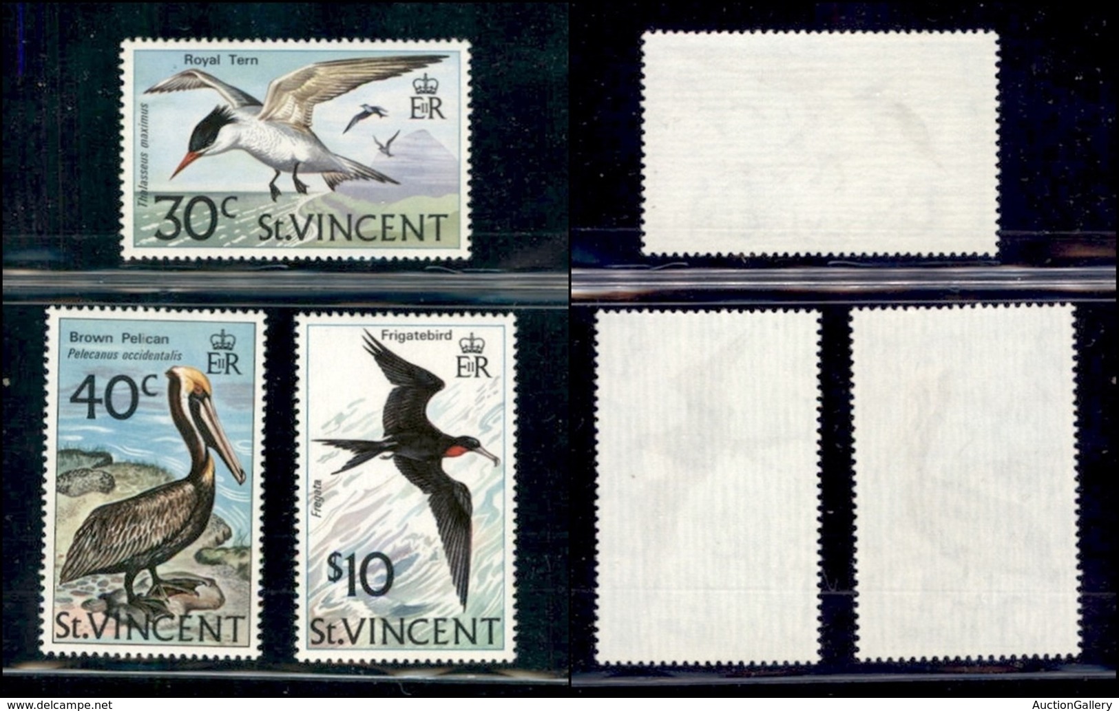 ESTERO - ST. VINCENT - 1974 - Uccelli (362/364) - Serie Completa - Gomma Integra (40) - Autres & Non Classés
