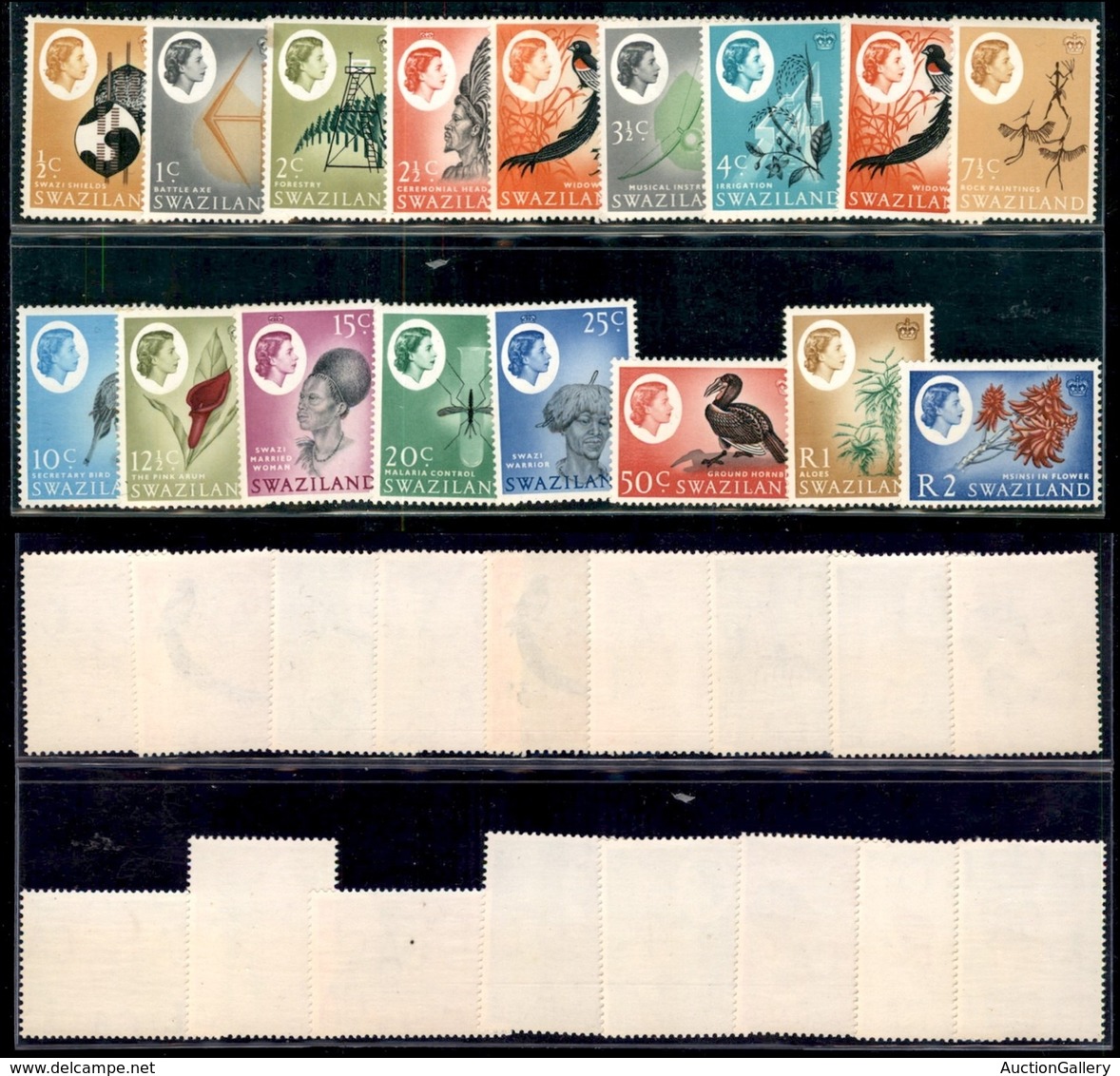 ESTERO - SWAZILAND - 1962 - Flora E Fauna (92/107 + 138) - Serie Completa + Valore Complementare - Gomma Integra (55) - Autres & Non Classés