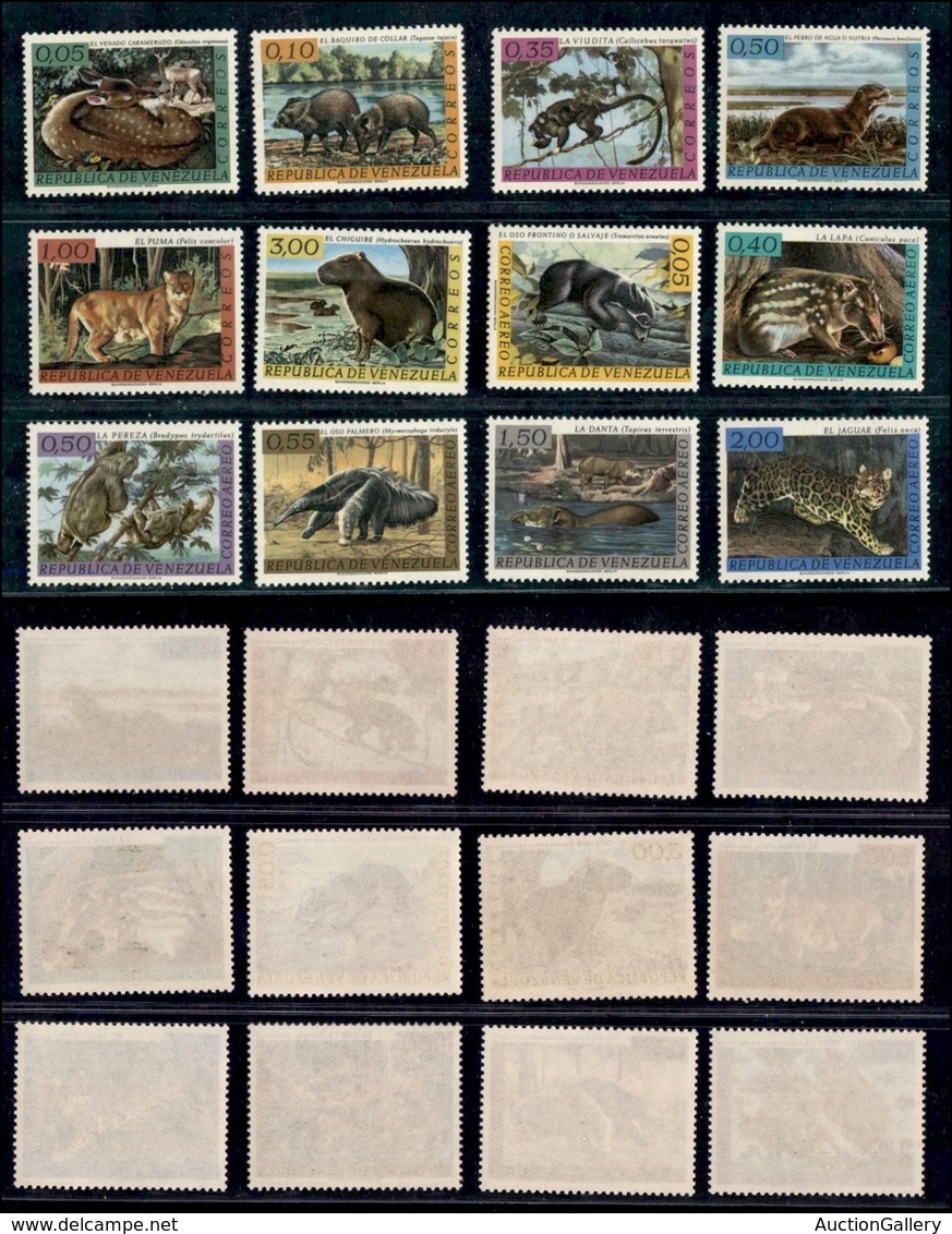 ESTERO - VENEZUELA - 1963 - Fauna (1481/1492) - Serie Completa - Gomma Integra (30) - Autres & Non Classés