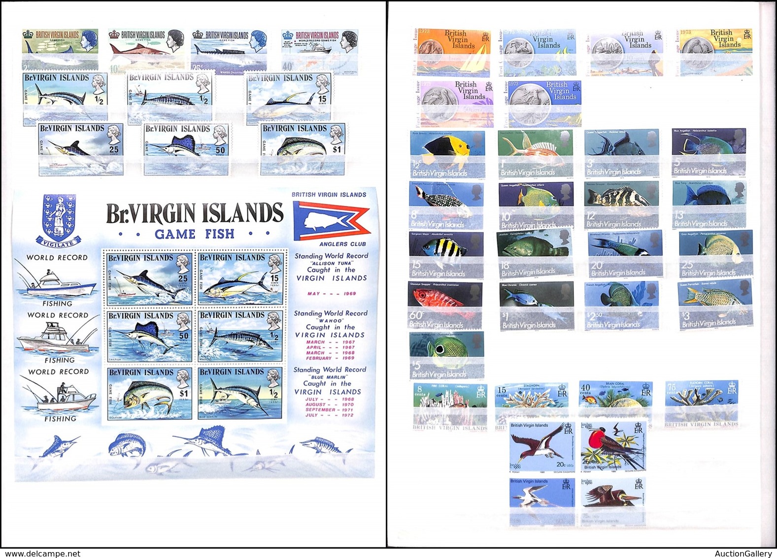 ESTERO - VIRGIN ISLANDS - 1968/1980 - Fauna E Vedute - Insieme Di Serie Complete E Vedute Del Periodo - Gomma Integra (7 - Other & Unclassified