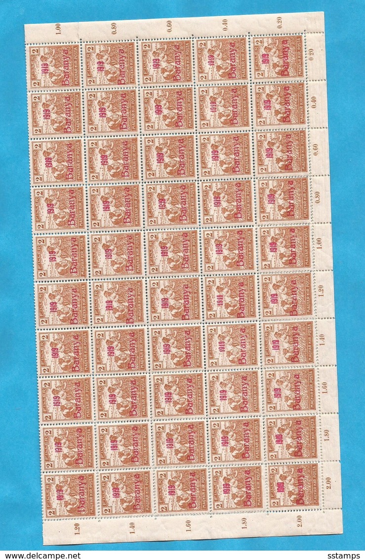 1919 BARANYA JUGOSLAVIA SERBIA UNGHERIA UNGARN OCCUPAZIONE BESETZUNG SHEET 100-STAMPS- THE STUDY OF OVERPRINT TYPS - Baranya