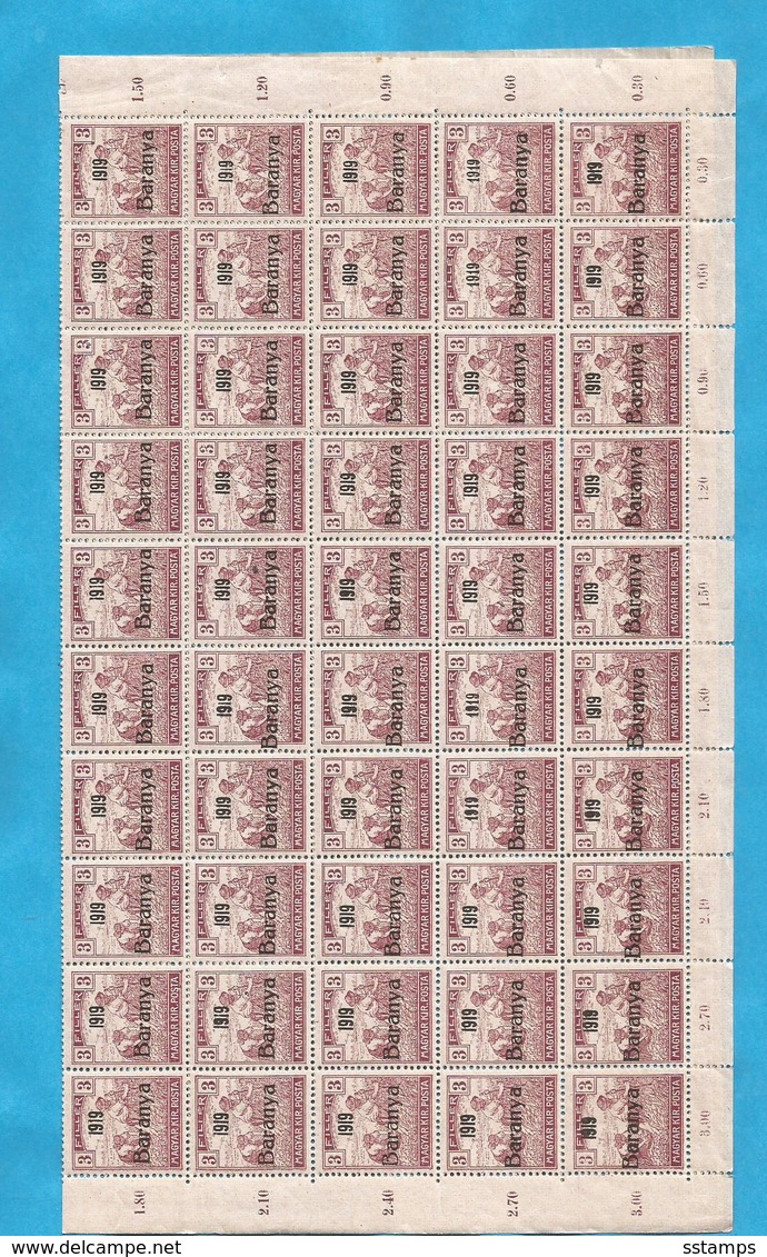 1919 BARANYA JUGOSLAVIA SERBIA UNGHERIA UNGARN OCCUPAZIONE BESETZUNG SHEET 100-STAMPS- THE STUDY OF OVERPRINT TYPS - Baranya