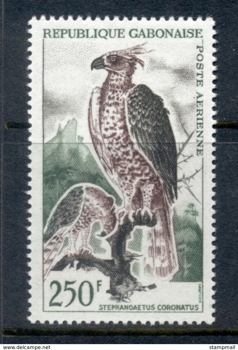 Gabon 1964 Bird, Hawk Eagle 250f MUH - Gabón (1960-...)