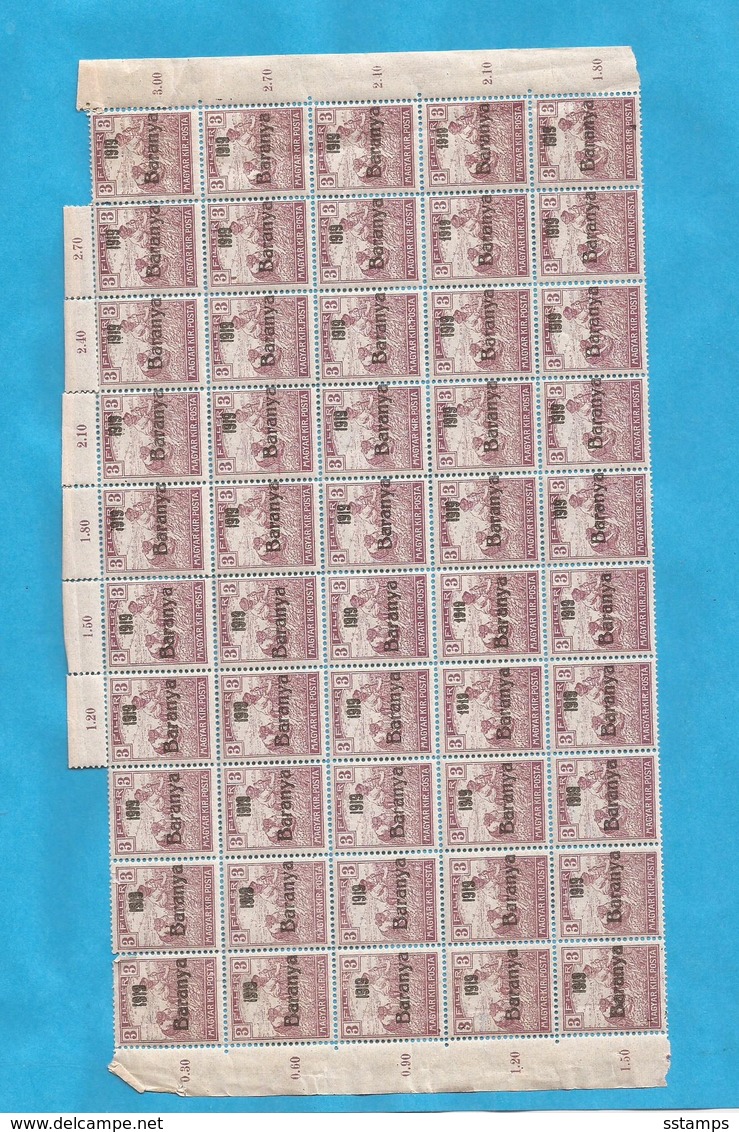 1919 BARANYA JUGOSLAVIA SERBIA UNGHERIA UNGARN OCCUPAZIONE BESETZUNG BLOCK OT 50-STAMPS- THE STUDY OF OVERPRINT TYPS - Baranya