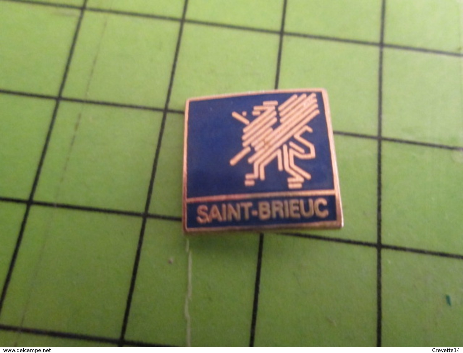 1518B Pin's Pins / Rare Et De Belle Qualité / VILLES : BRETAGNE SAINT-BRIEUC - Städte