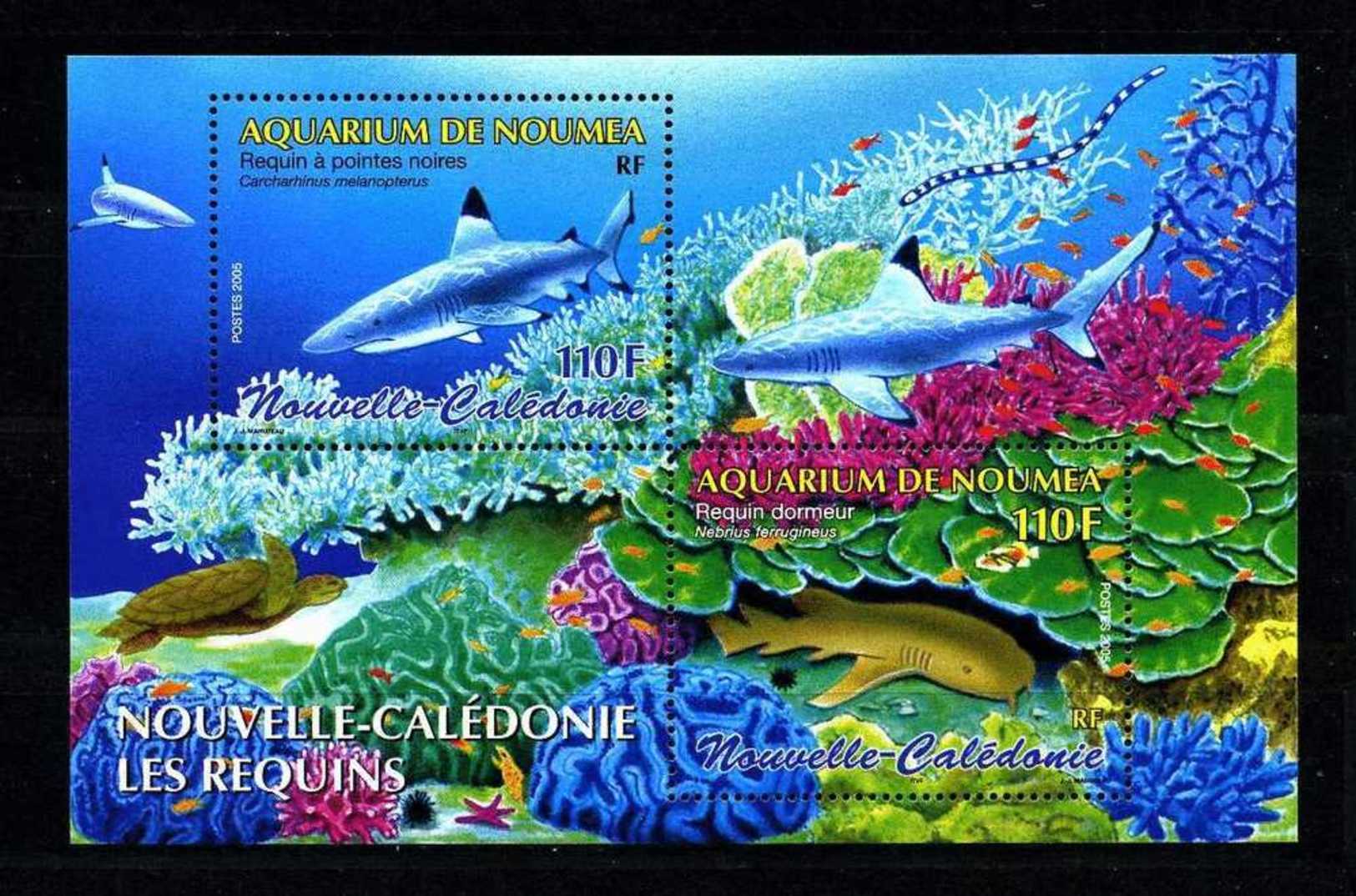 Nlle CALEDONIE 2005  Bloc N° 35 ** Neuf MNH Superbe Requin Shark Poissons Fishes Faune Fauna - Blocchi & Foglietti