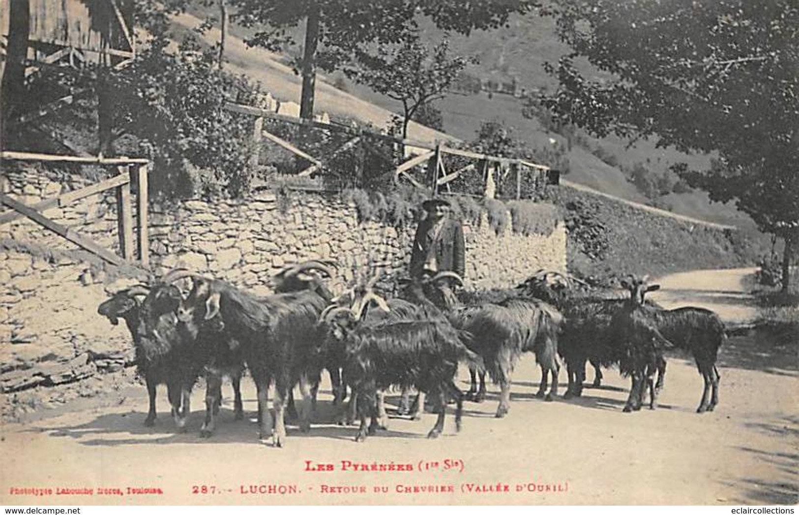 Luchon     31     Retour Du Chevrier. Vallée D'Oueil      (voir Scan) - Luchon