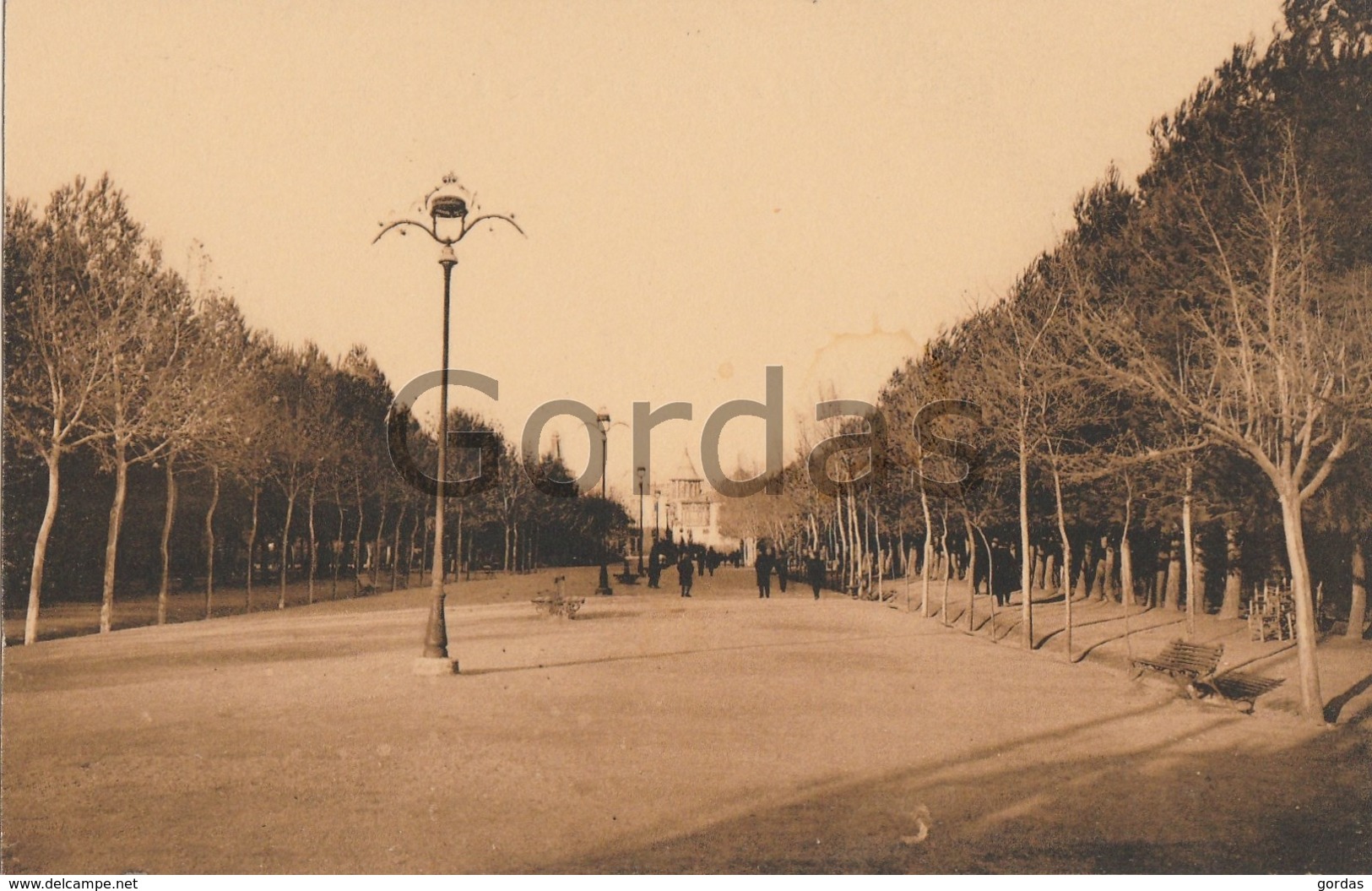 Spain - Albacete - Paseo Central Del Parque - Albacete