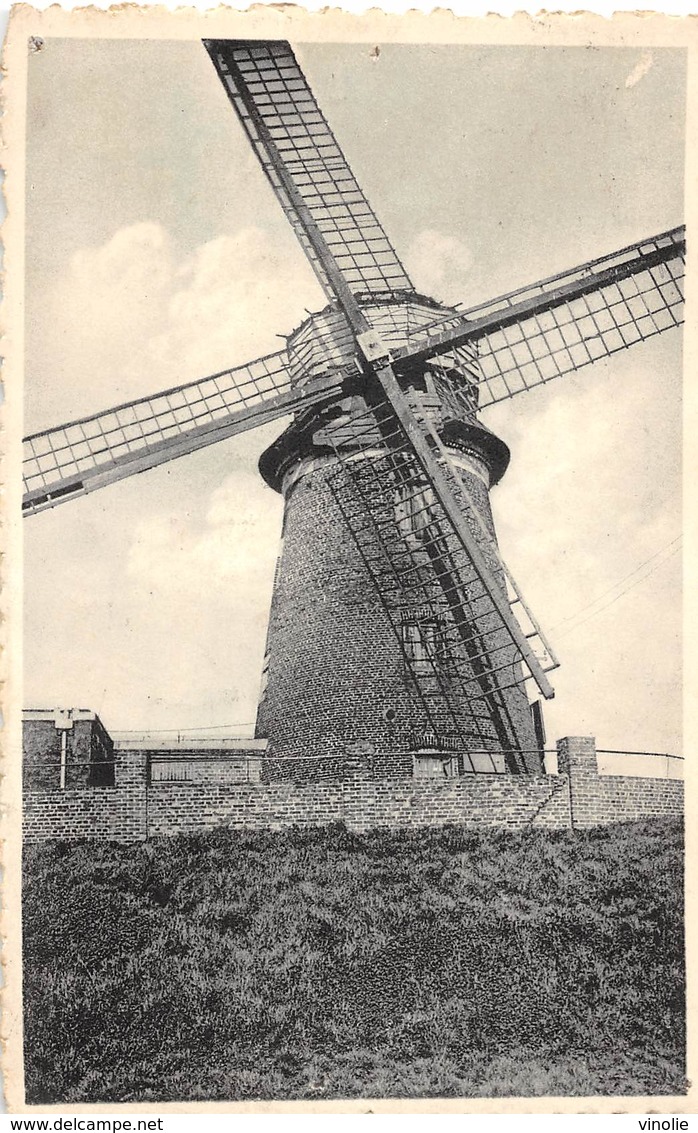 D.18-3064 : DOEL AAN SCHELDE. MOLEN. - Molinos De Viento