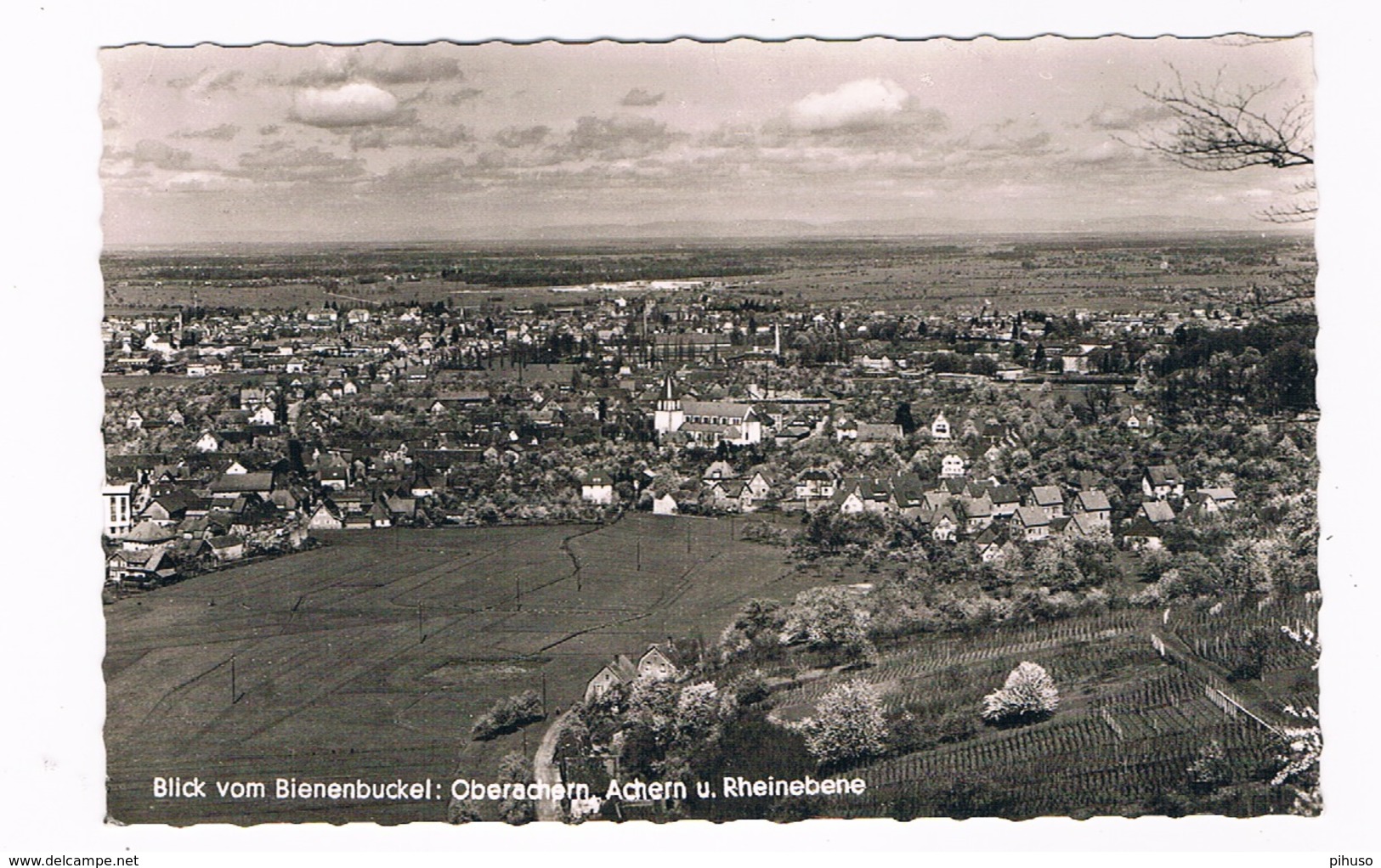 D-8657  Blick Vom Bienenbuckel - OBERACHERN , ACHERN U. Rheinebene - Achern