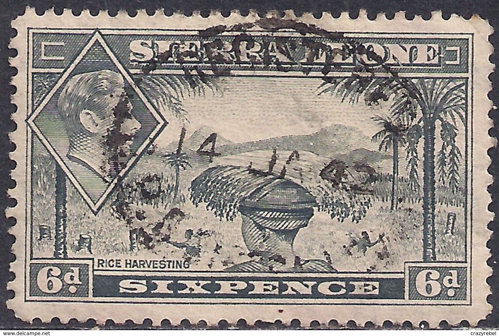 Sierra Leone 1938 - 44 KGV1  6d Grey SG 195 ( G1470 ) - Sierra Leone (...-1960)