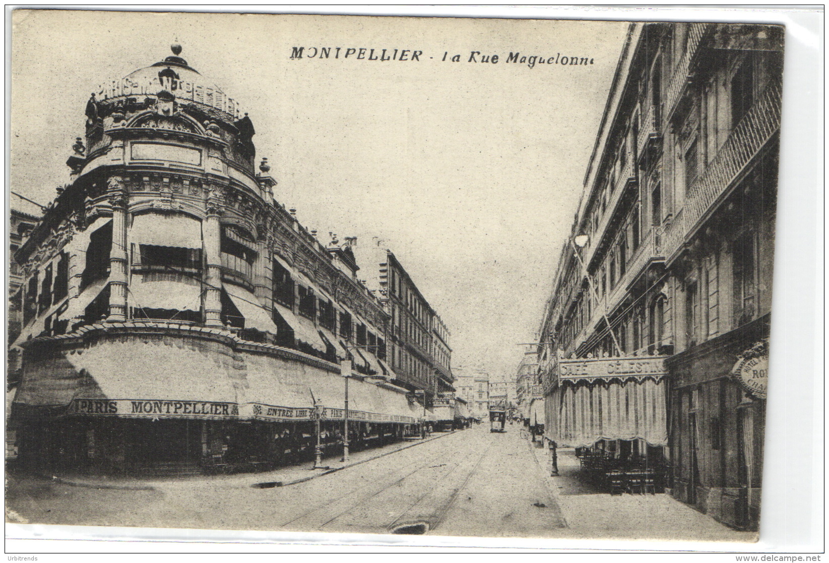 1 CPA Herault Montpellier - La Rue Maguelonne - Autres & Non Classés