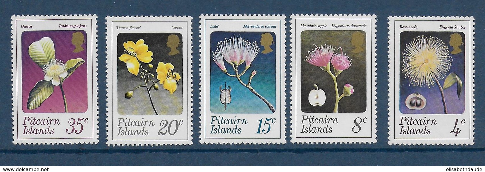 PITCAIRN - YVERT N° 128/132 ** MNH - COTE = 20 EUR. - FAUNE ET FLORE - - Pitcairn Islands