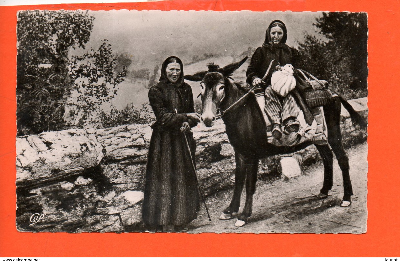 ANES - Scènes Et Types Des Pyrénées - Femme Du Pays Allant Au Marché (métier) - Anes