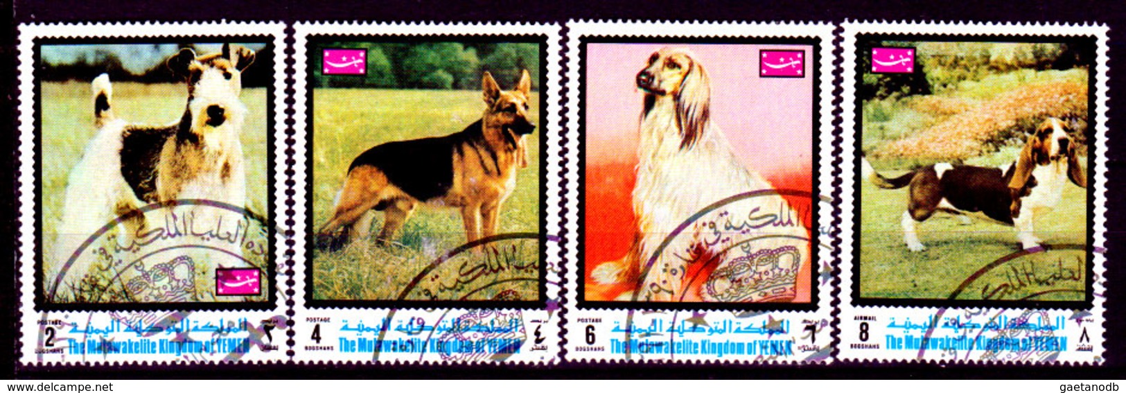 Yemen-0015 - Cani (o) Used - Senza Difetti Occulti. - Jemen