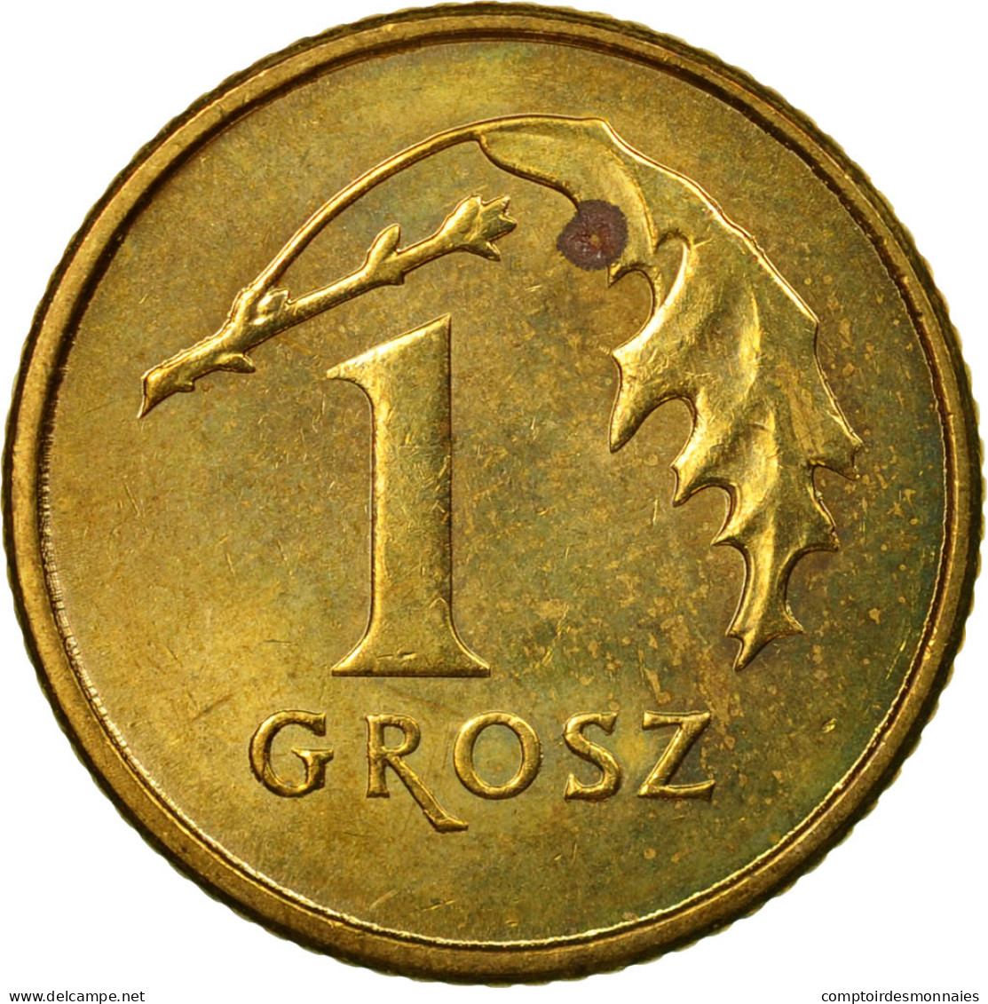 Monnaie, Pologne, Grosz, 2011, Warsaw, TTB, Laiton, KM:276 - Pologne