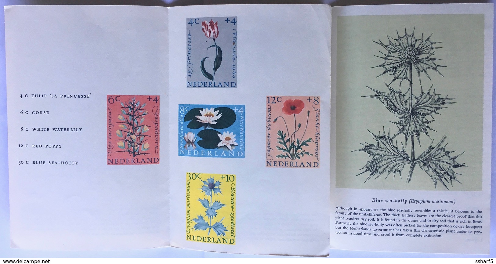 Small Booklet "5 Dutch Flowers" 1960 With 5 Welfare Stamps 30c + 10c 12c + 8c Etc - Briefe U. Dokumente