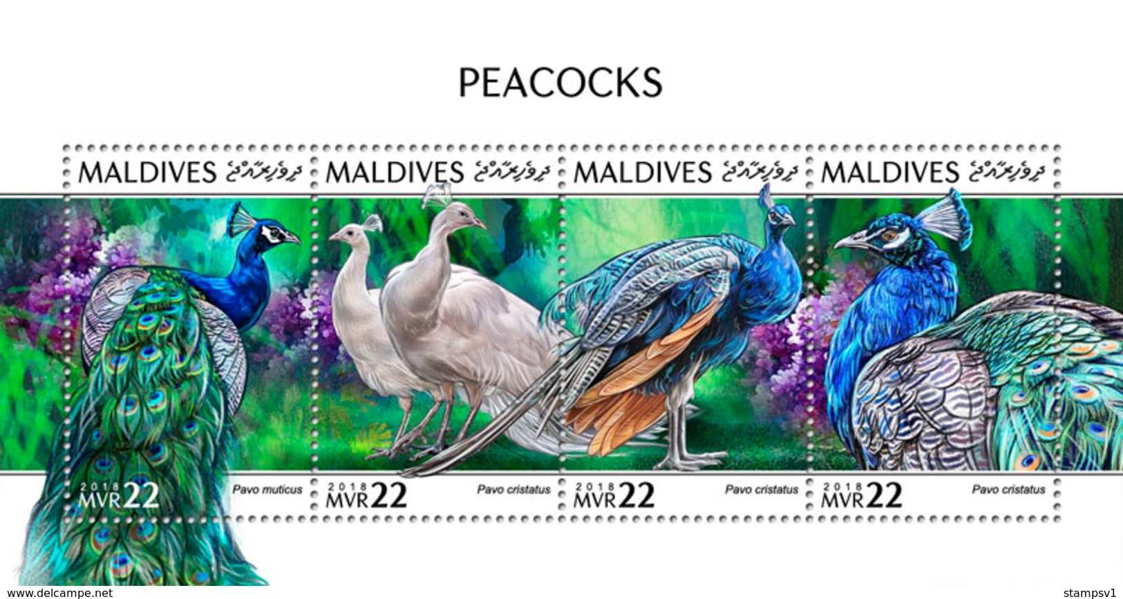 Maldives. 2018 Peacocks. (1006a) - Peacocks