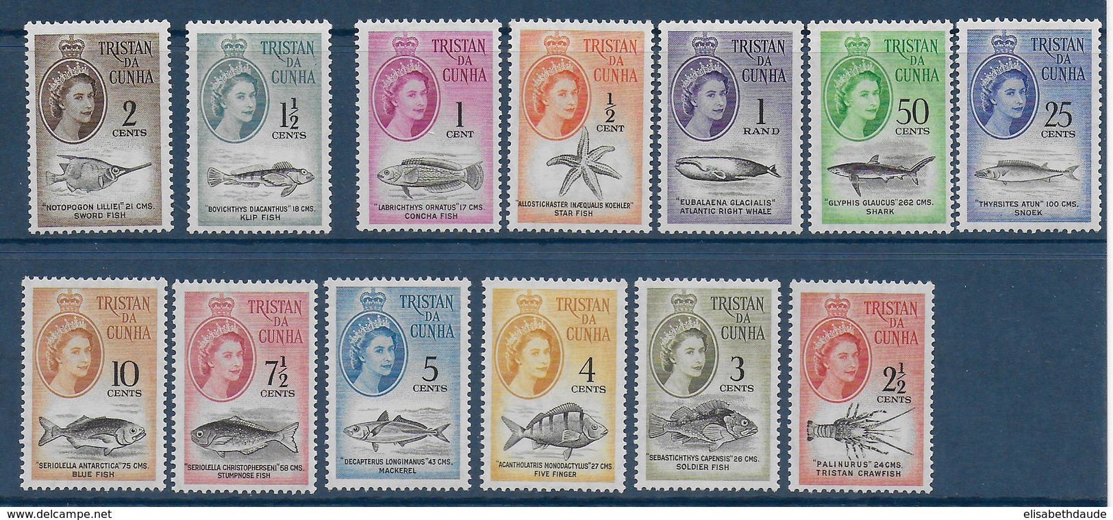 TRISTAN DA CUNHA - YVERT N° 42/54 * MLH - COTE = 130 EUR. - FAUNE ET FLORE - POISSONS - Tristan Da Cunha