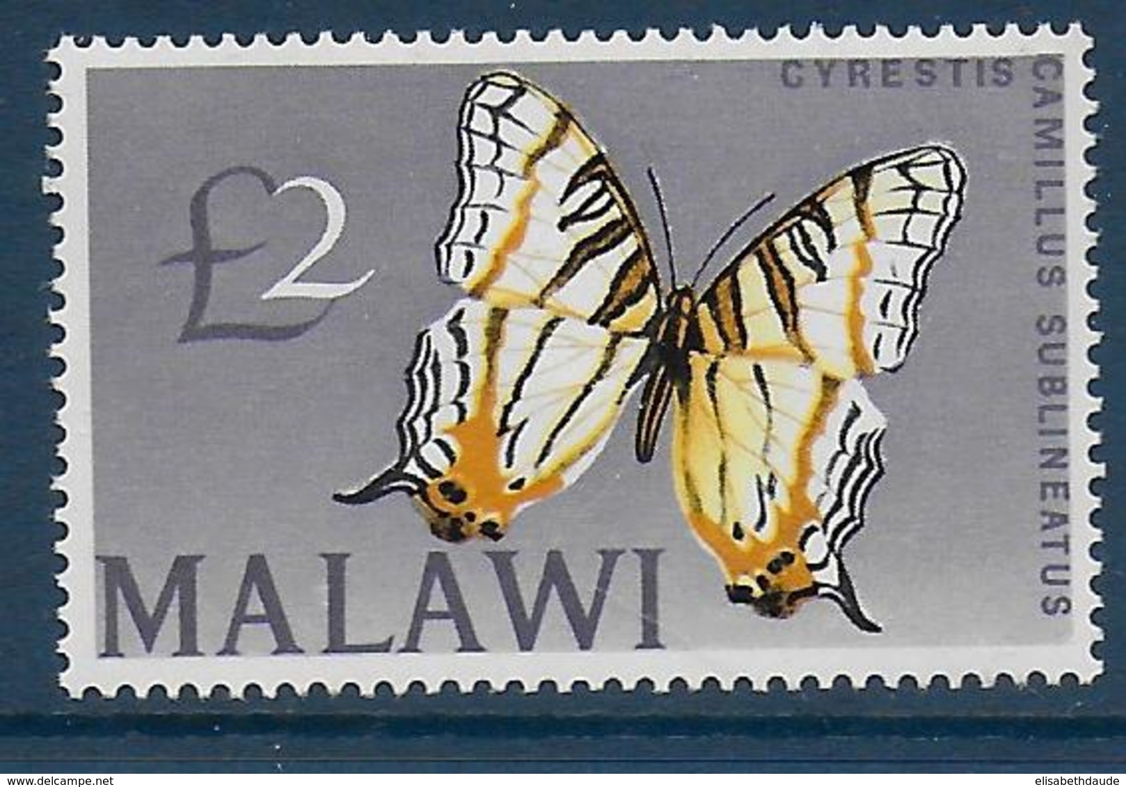 MALAWI - YVERT N° 51 ** MNH - COTE = 52.5 EUR. - FAUNE ET FLORE - PAPILLONS - Malawi (1964-...)