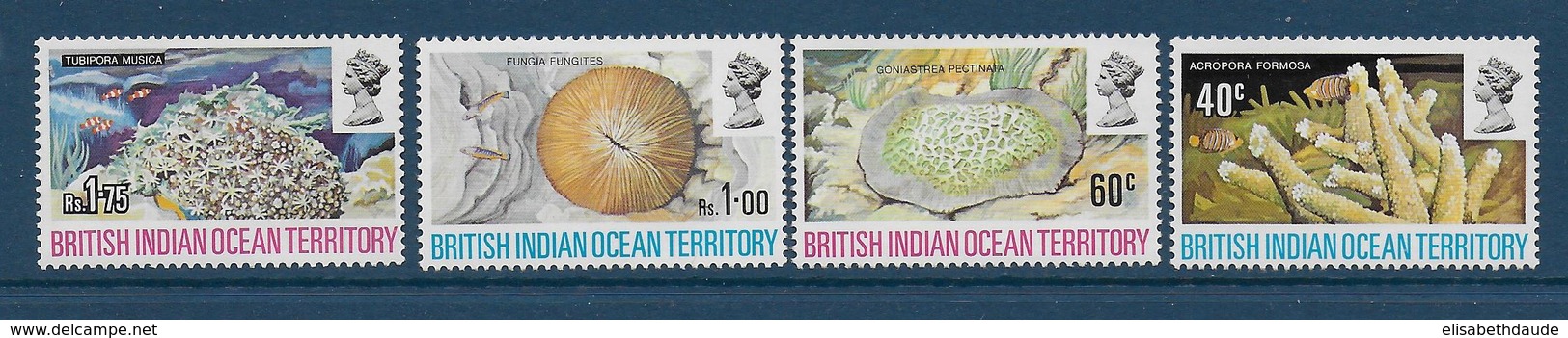 BRITISH INDIAN OCEAN TERRITORY - YVERT N° 44/47 ** MNH - COTE = 25 EUR. - FAUNE ET FLORE - FAUNE MARINE - Territorio Británico Del Océano Índico