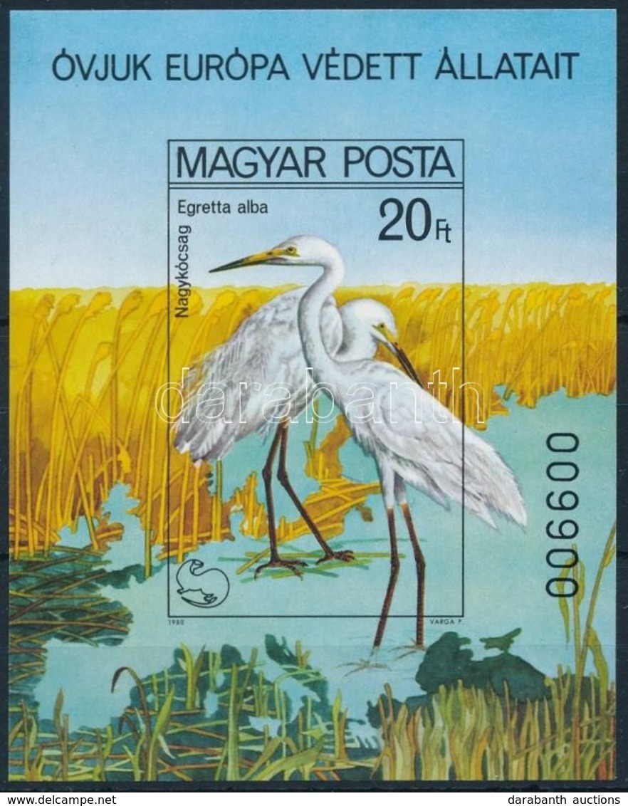 ** 1980 Madarak - Védett Vízimadarak Vágott Blokk (6.000) - Autres & Non Classés