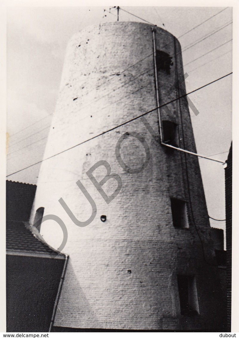 Tollembeek MOLEN / MOULIN -Originele Foto Jaren '70 ( A.Carre) 91 - Edingen