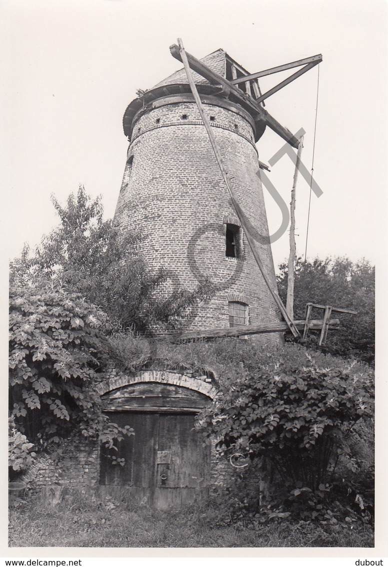 Balegem MOLEN / MOULIN -Originele Foto Jaren '70 ( A.Carre) 93 - Oosterzele