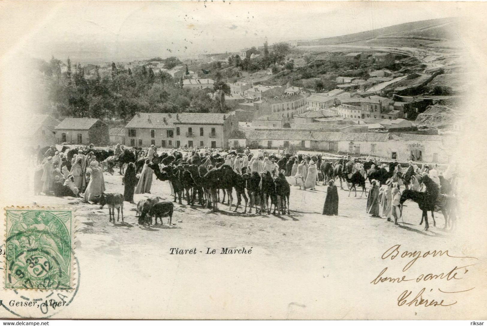 TIARET(MARCHE) - Tiaret