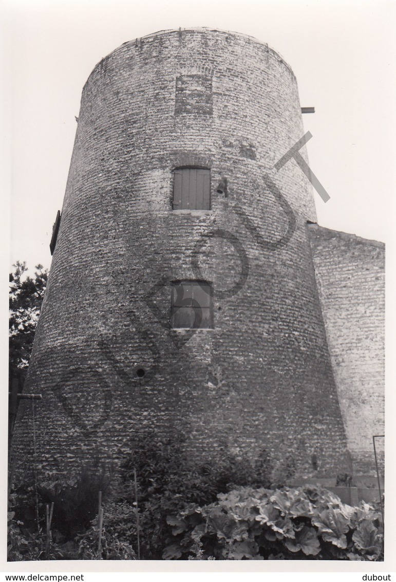 Mazenzele MOLEN / MOULIN -Originele Foto Jaren '70 ( A.Carre) 70 - Opwijk