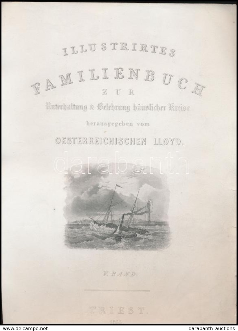 1855-1856 36 Db Acélmetszet (közte Két Címlappal) Az Illustrirtes Familienbuch Zur Unterhaltung Und Belehrung Häuslicher - Estampes & Gravures