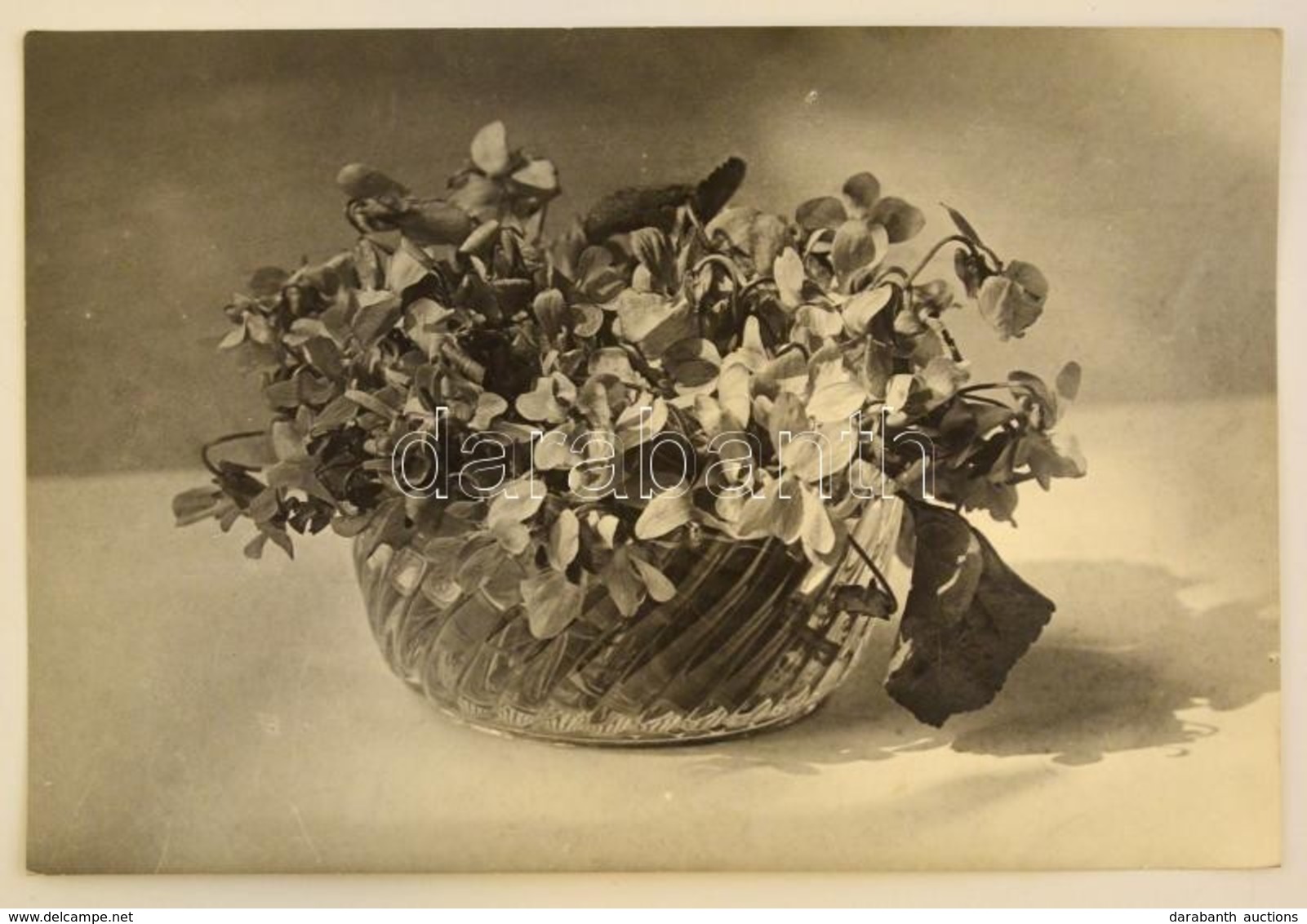 Cca 1930 Virágcsendélet. Kaksa Rajmund Tatai Fényképész Fotója. Hagyatékából.23x17 Cm - Autres & Non Classés