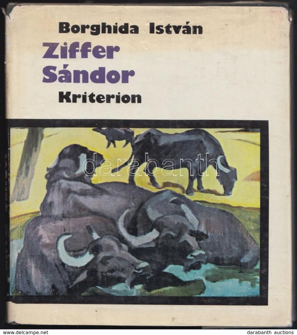 Borghida István: Ziffer Sándor. Bukarest, 1980, Kriterion. Kiadói Egészvászon-kötés, Kiadói Papír Védőborítóban, Szakadt - Unclassified