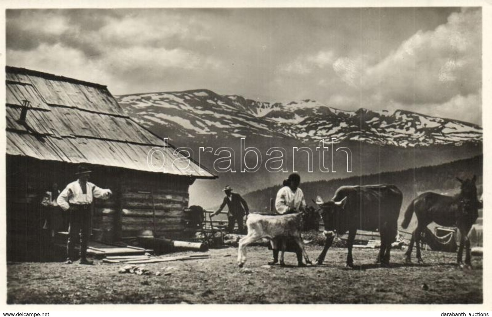 ** * 5 Db RÉGI Kárpátaljai Városképes Lap / 5 Pre-1945 Carpathian Ukraine Town-view Postcards - Non Classés