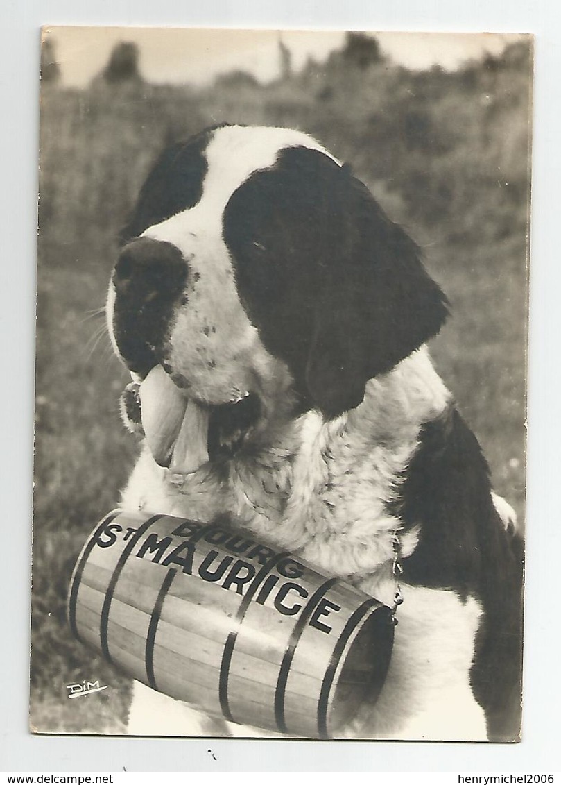 73 Savoie - Kairo La Rosière école De Chiens D'avalanche Col Petit St Bernard Chien Tonneau Bourg Saint Maurice 1969 - Bourg Saint Maurice