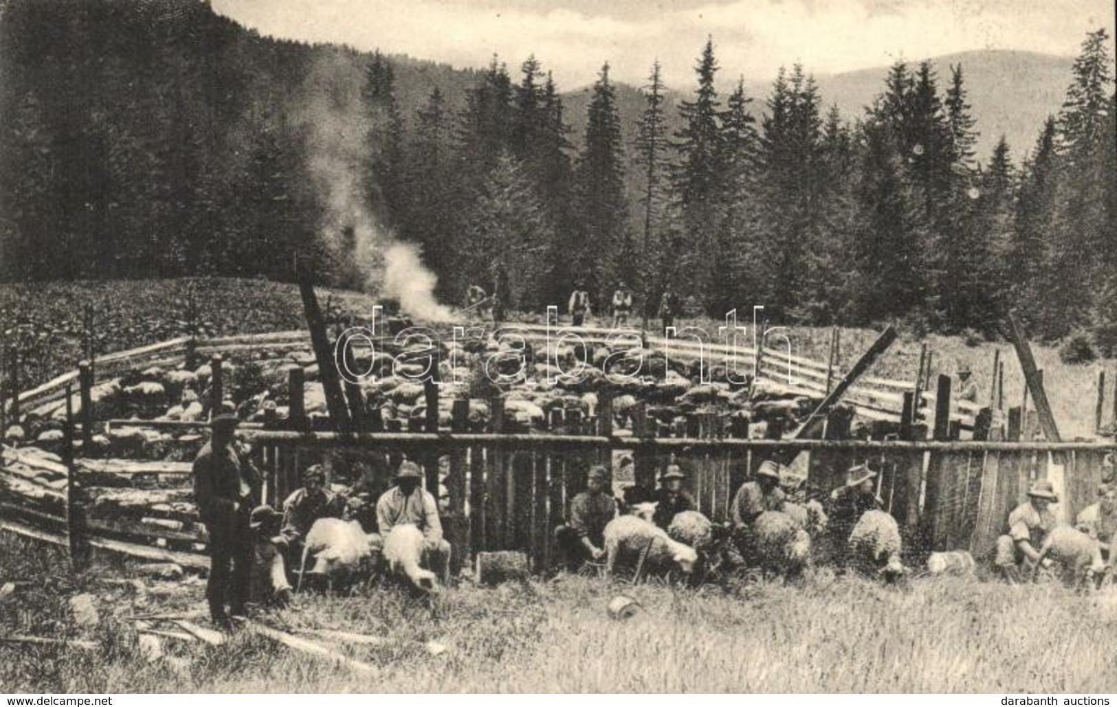 ** T2/T3 Tiszabogdány, Bogdán, Bohdan; Dojeni Ovcí Na Planine / Juhok Fejése A Tisztáson / Farmers Milking The Sheep (EK - Non Classés