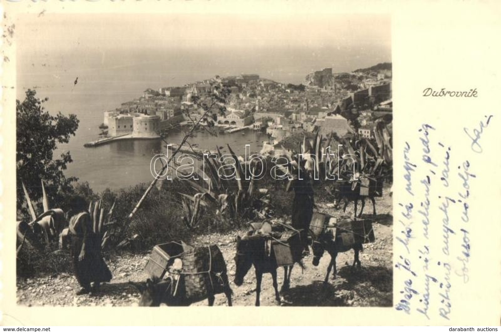 T2/T3 Dubrovnik, Ragusa; General View, Donkey (EK) - Non Classés