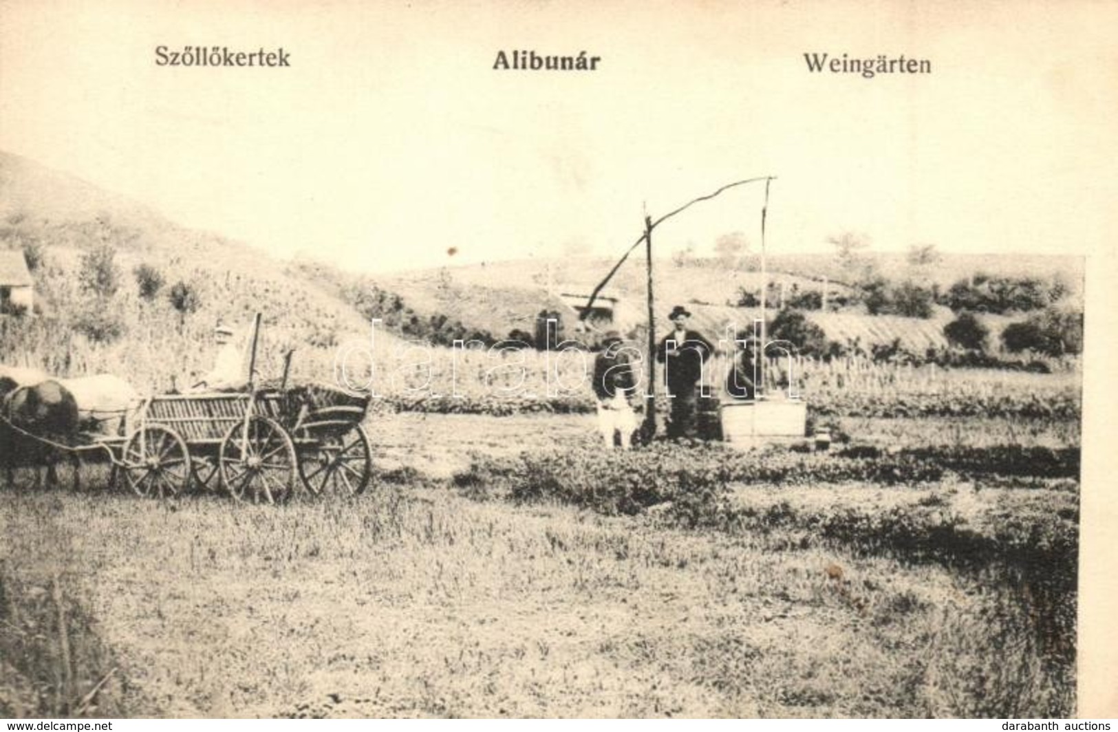 T2/T3 Alibunár, Alibunar; Szőlőkertek, Gémeskút / Weingärten / Vineyards, Well, Shadoof (EK) - Unclassified