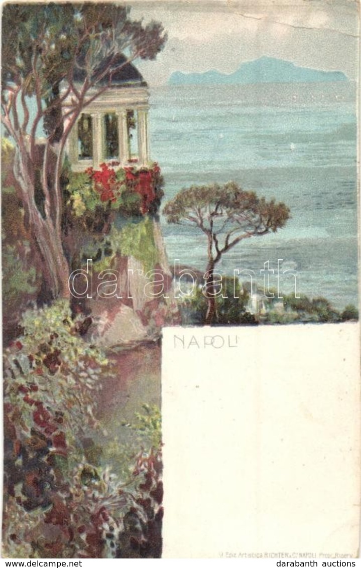 ** T4 Naples, Napoli; Richter & Co. Litho (cut) - Ohne Zuordnung