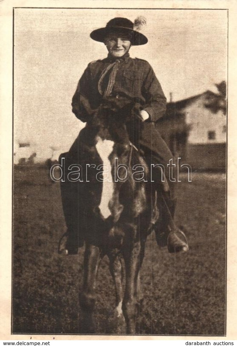 T2/T3 Magyar Kis Lovas Cserkész Raj / Hungarian Boy Scout Swarm Of Pony Horses (EK) - Unclassified