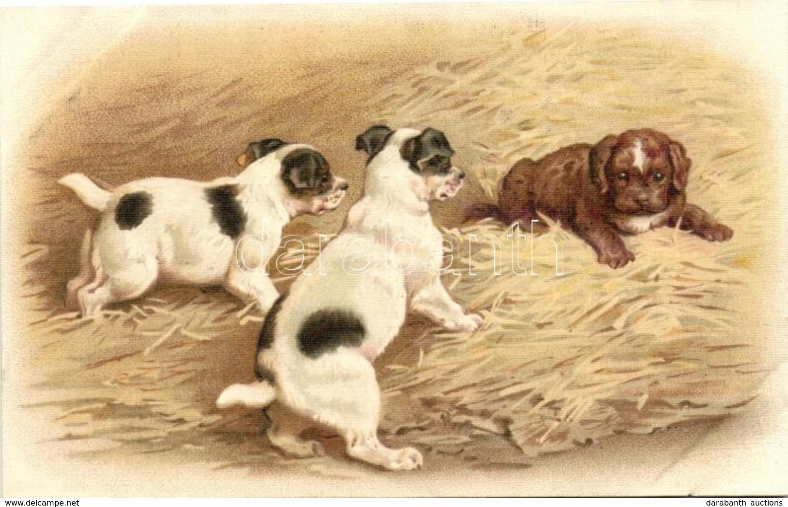 ** T3 Dogs, G.O.M. 2429. Litho (EB) - Non Classés