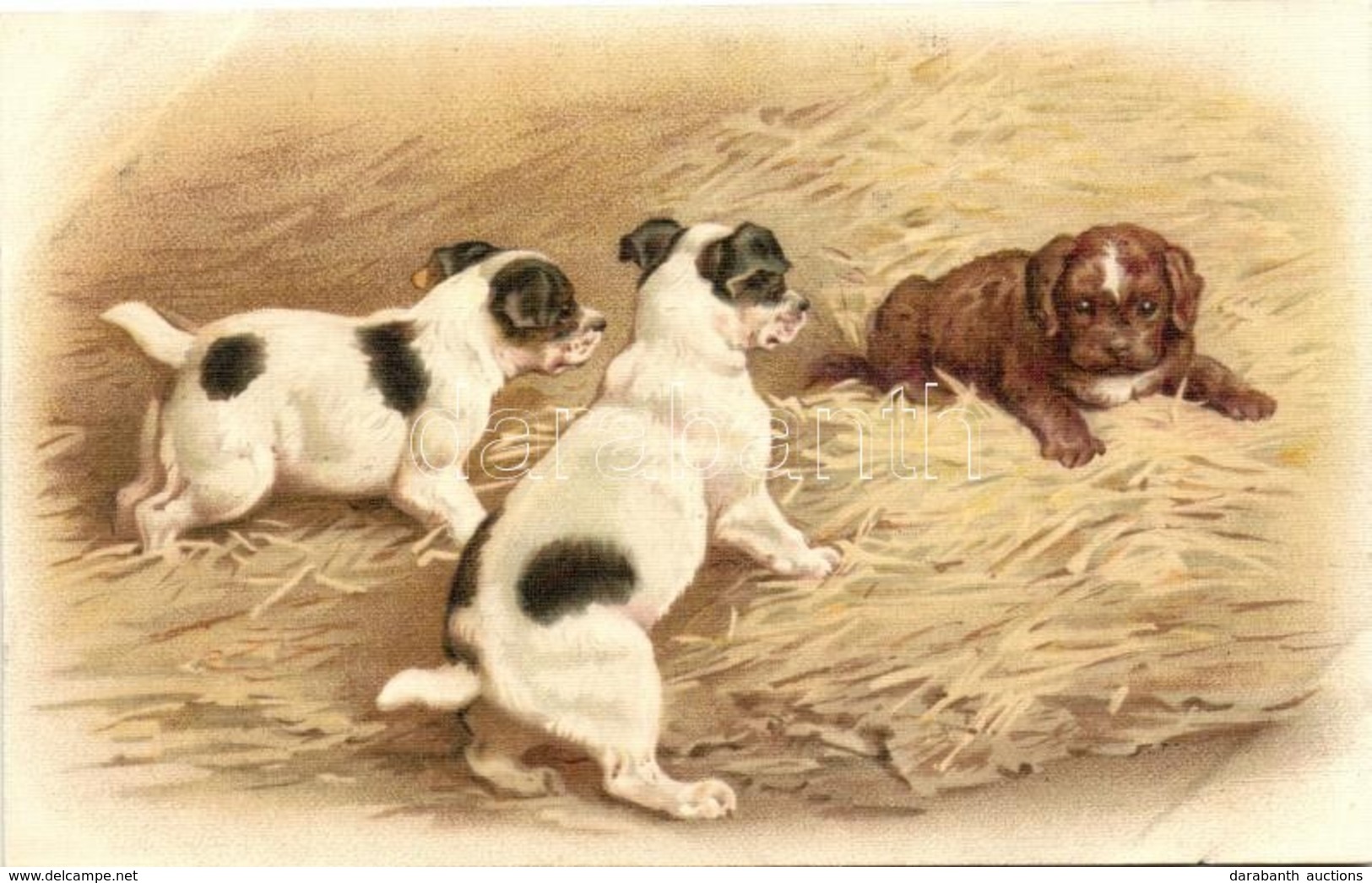 ** T3 Dogs, G.O.M. 2429. Litho (EB) - Unclassified