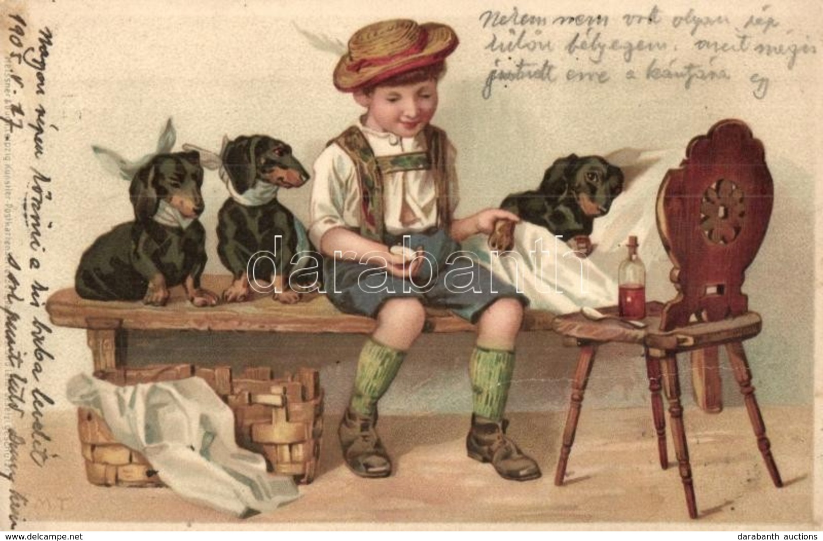 T2/T3 1905 Dachshund, Dogs,  Meissner & Buch Künstler-Postkarten, Artist Signed Litho (fa) - Non Classés