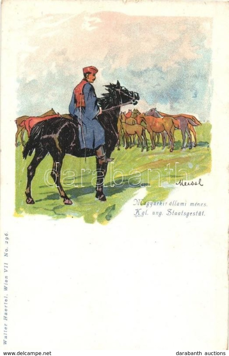 ** T2/T3 Magyar Királyi állami Ménes / Kgl. Ung. Staatsgestüt. Walter Haertel No. 296. Litho (fa) - Non Classés