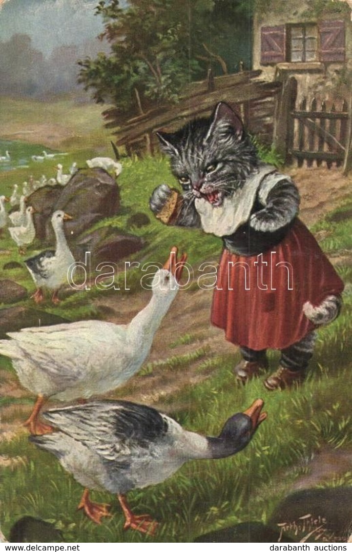 T2/T3 Cat And Geese, Humor, Art Postcard. T. S. N. Serie 1646. (6 Dess.) S: Arthur Thiele (kopott Sarkak / Worn Corners) - Non Classés