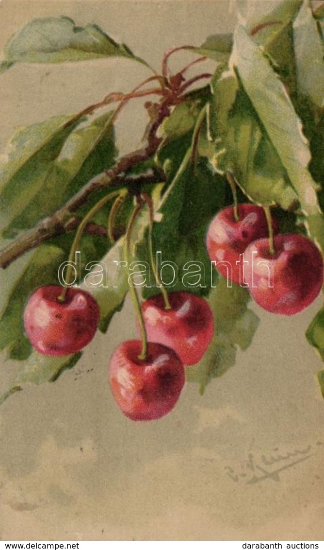 T2 Cseresznye, Csendélet / Fruit Still Life, Cherry, Litho S: C. Klein - Zonder Classificatie