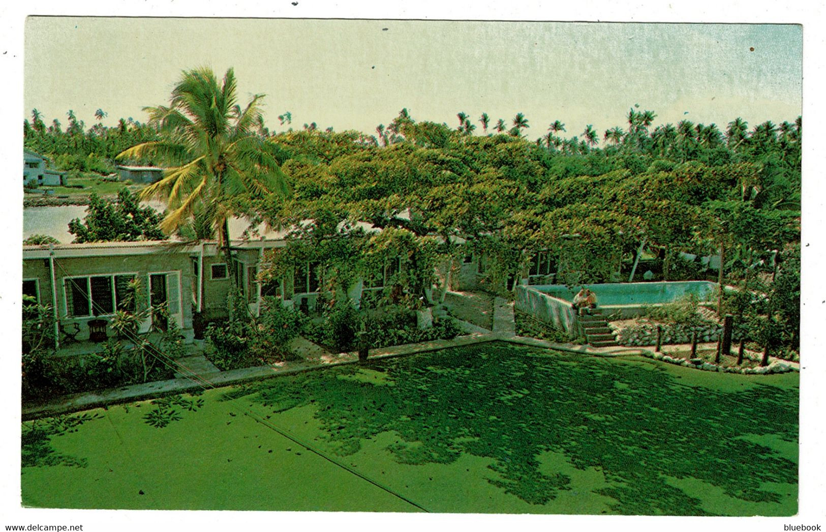 Ref 1228 - Pacific Islands Postcard - Aggie Grey's Hotel - Apia Western Samoa - Samoa