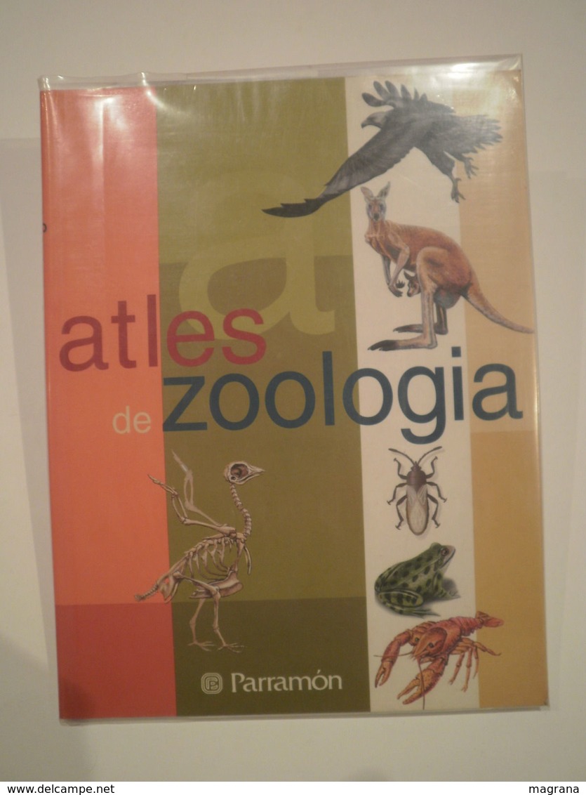 Atles De Zoologia. Parramón Ediciones. 1a Edició 2001. 96 Pàgines. Il·lustrat. Autors: José Tola I Eva Infiesta. - Pratique