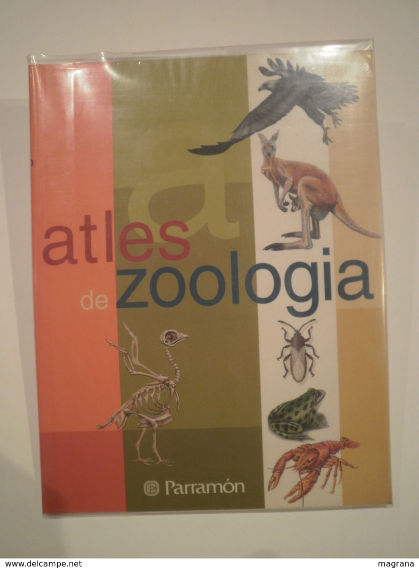 Atles De Zoologia. Parramón Ediciones. 1a Edició 2001. 96 Pàgines. Il·lustrat. Autors: José Tola I Eva Infiesta. - Vita Quotidiana