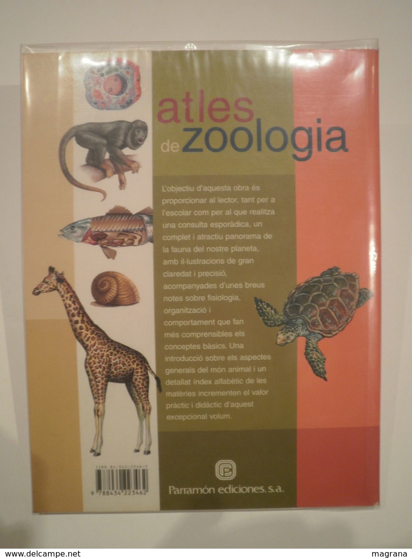 Atles De Zoologia. Parramón Ediciones. 1a Edició 2001. 96 Pàgines. Il·lustrat. Autors: José Tola I Eva Infiesta. - Pratique